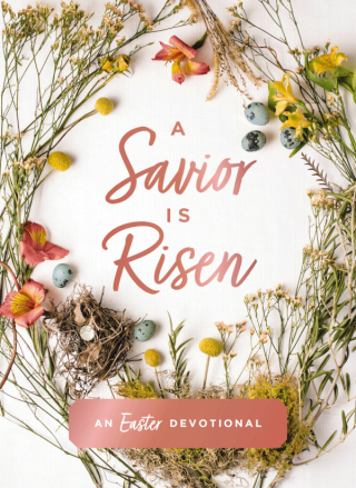 Cover image: A Savior Is Risen 9780310463238