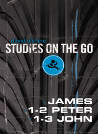 Cover image: James, 1-2 Peter, and 1-3 John 9780310516774