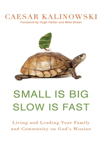 Cover image: Small Is Big, Slow Is Fast 9780310517016