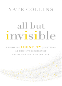 Cover image: All But Invisible 9780310526025
