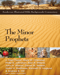 Cover image: The Minor Prophets 9780310527701