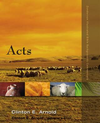 Cover image: Acts 9780310278252