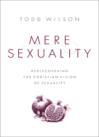 Cover image: Mere Sexuality 9780310535355