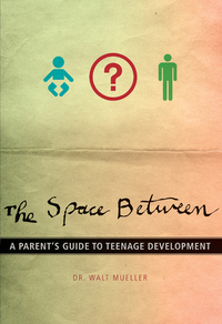 Cover image: The Space Between 9780310287711