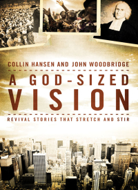 Cover image: A God-Sized Vision 9780310519294