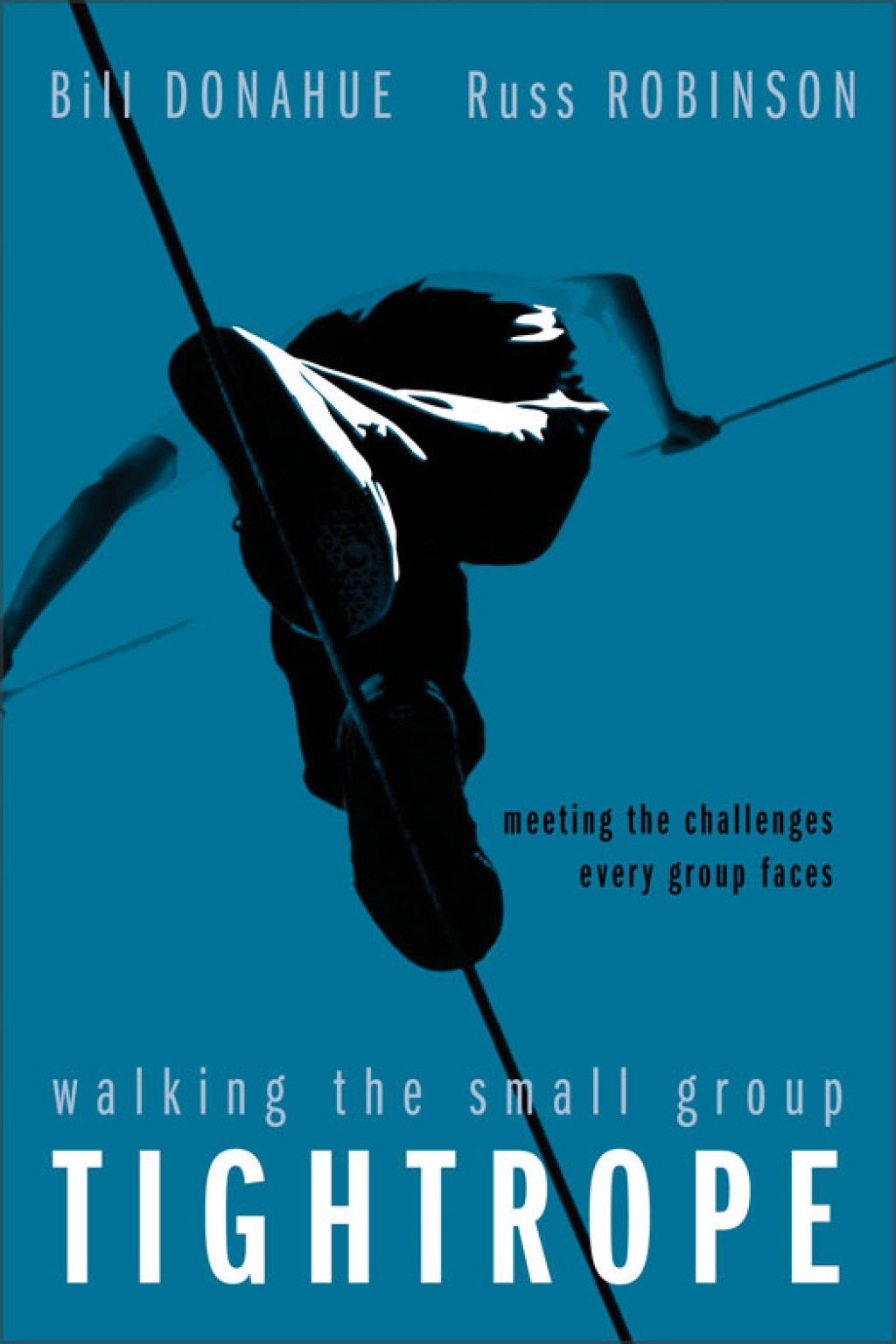 Walking the Small Group Tightrope eBook