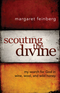 Cover image: Scouting the Divine 9780310331544