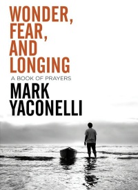 Cover image: Wonder, Fear, and Longing, eBook 9780310283607