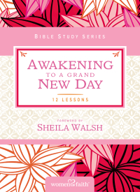 Cover image: Awakening to a Grand New Day 9780310684664