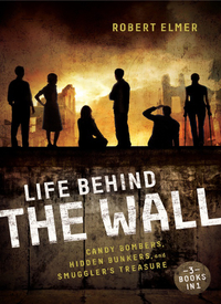 Cover image: Life Behind the Wall 9780310742654