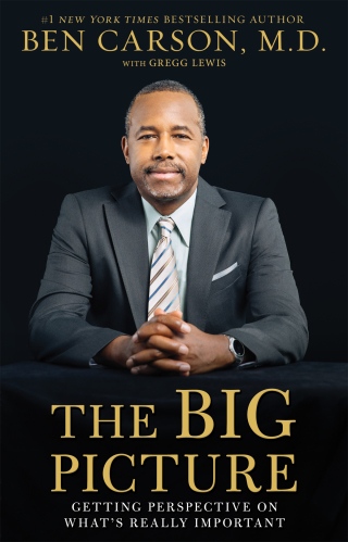 Cover image: The Big Picture 9780310238348