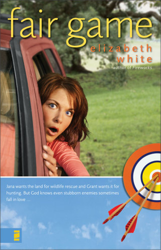 Cover image: Fair Game 9780310262251