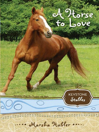 Cover image: A Horse to Love 9780310717928