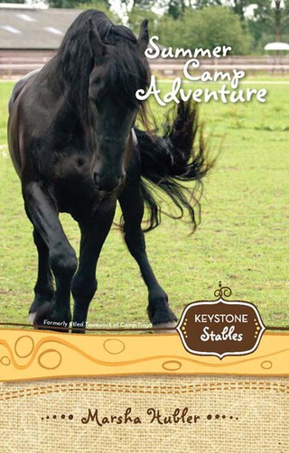 Cover image: Summer Camp Adventure 9780310717959