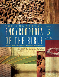 Cover image: The Zondervan Encyclopedia of the Bible, Volume 3 9780310241331