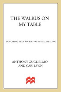 Cover image: The Walrus on My Table 9780312262679