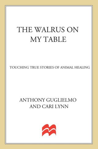 Imagen de portada: The Walrus on My Table 9780312262679