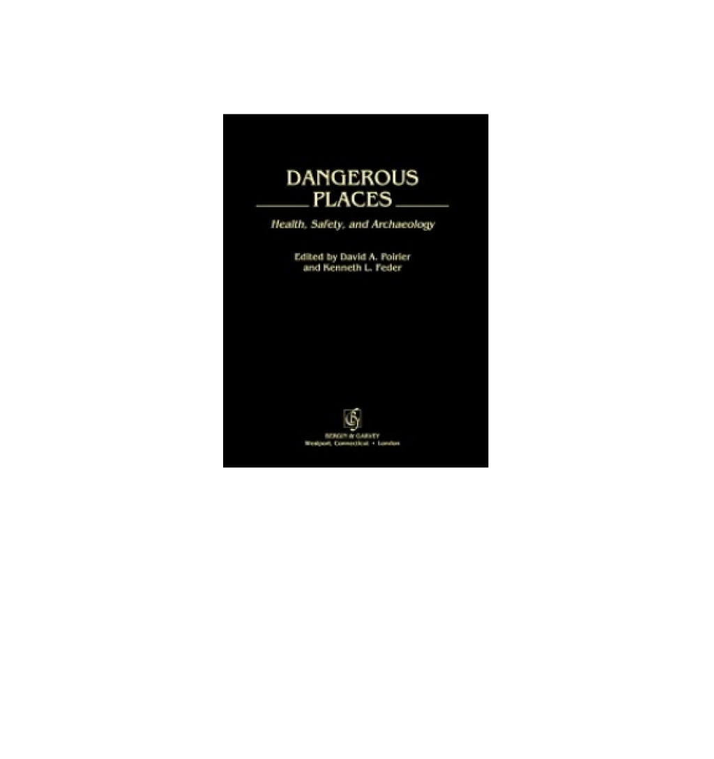 Dangerous Places Health, Safety, and Archaeology 1st Edition