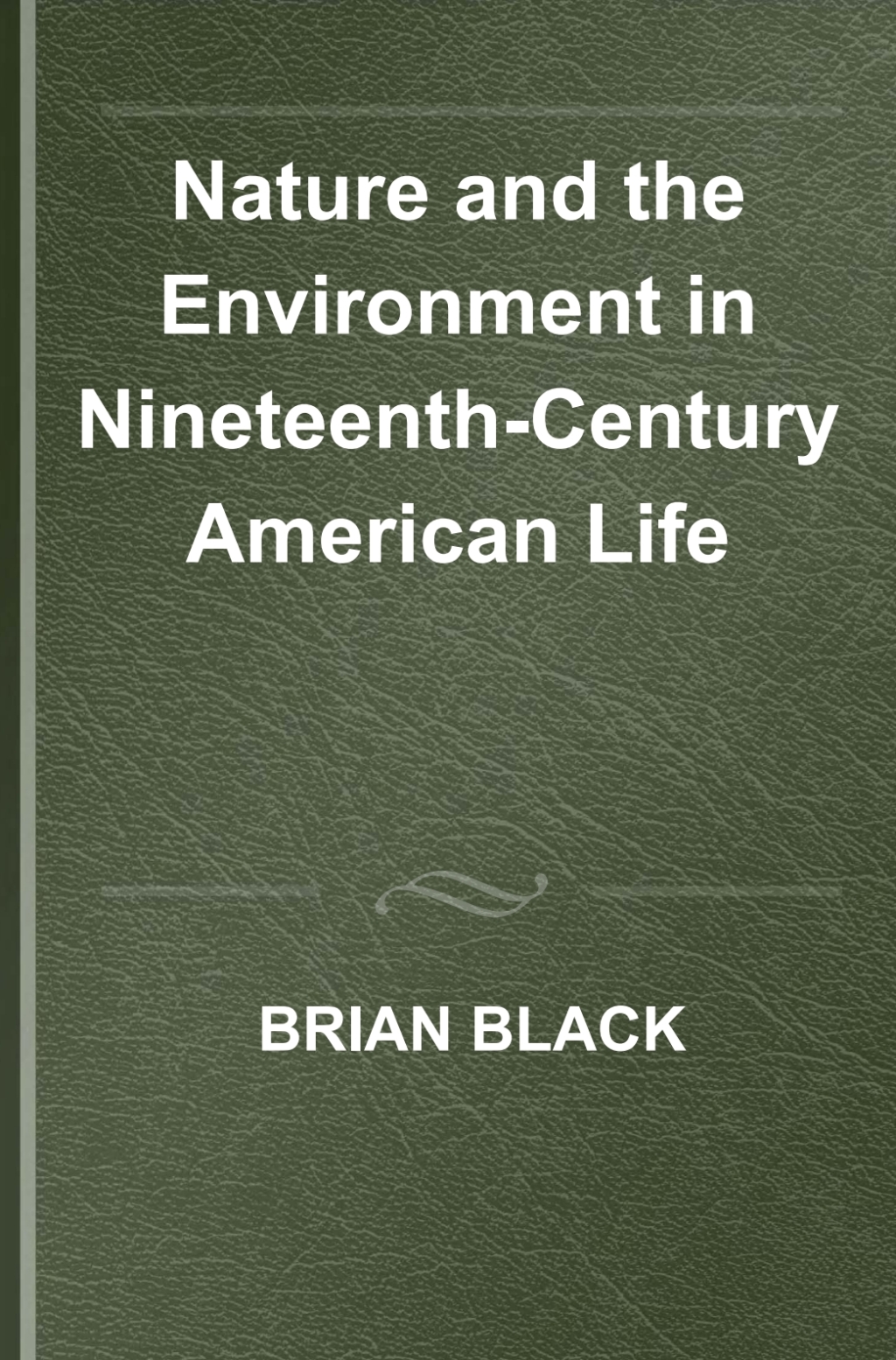 Nature and the Environment in Nineteenth-Century American Life 1st Edition