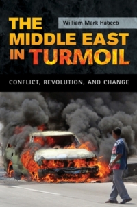 Imagen de portada: The Middle East in Turmoil: Conflict, Revolution, and Change 9780313339141