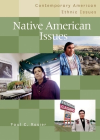 صورة الغلاف: Native American Issues 1st edition