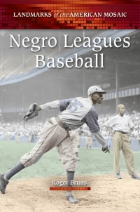 Imagen de portada: Negro Leagues Baseball 1st edition 9780313386480