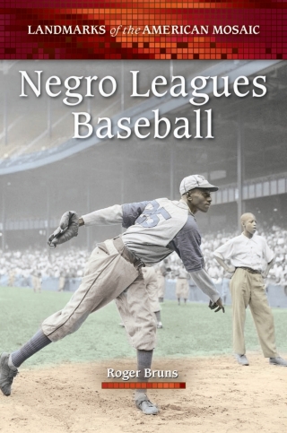 Imagen de portada: Negro Leagues Baseball 1st edition 9780313386480