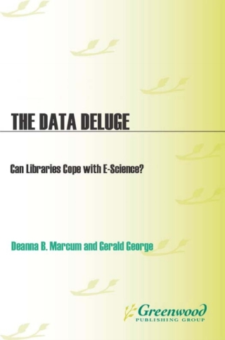 Titelbild: The Data Deluge 1st edition