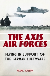 Immagine di copertina: The Axis Air Forces 1st edition