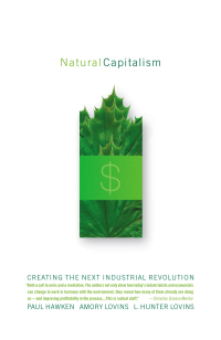 Cover image: Natural Capitalism 1st edition 9780316353168
