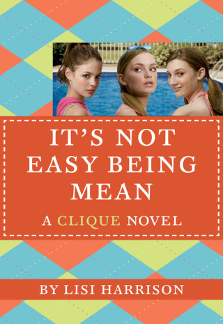 Cover image: It's Not Easy Being Mean 9780316041720