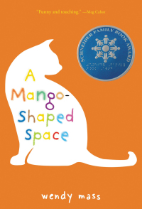 Cover image: A Mango-Shaped Space 9780316048699