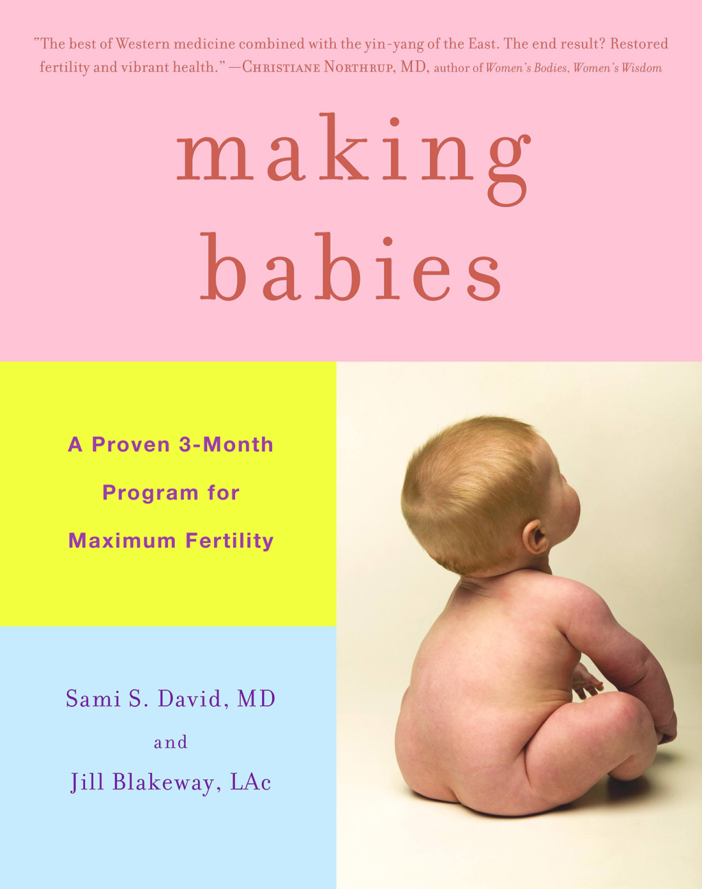 Making Babies A Proven 3-Month Program for Maximum Fertility