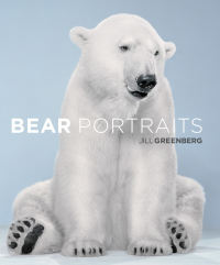 Cover image: Bear Portraits 9780316031882