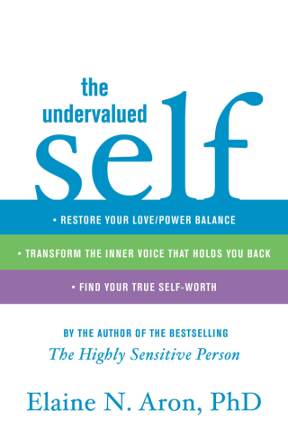 Cover image: Undervalued Self 9780316066990