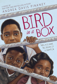 Cover image: Bird in a Box 9780316084055