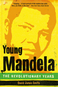 Cover image: Young Mandela 9780316035484