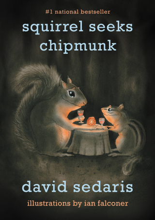 Cover image: Squirrel Seeks Chipmunk 9780316131278
