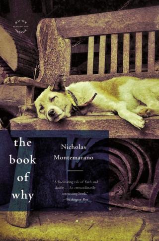 Cover image: The Book of Why 9780316188470