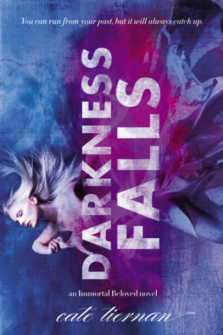 Cover image: Darkness Falls 9780316035934