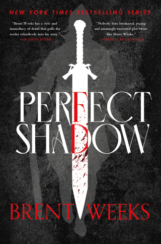 Cover image: Perfect Shadow 9780316477406