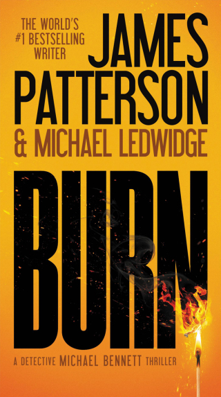 Cover image: Burn 9780316211024