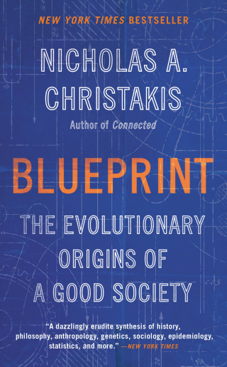 Cover image: Blueprint 9780316230032