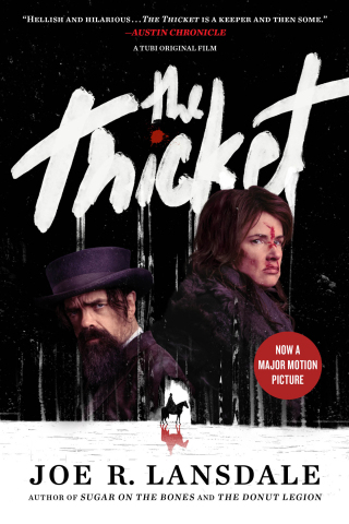Cover image: The Thicket 9780316248754