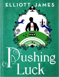 Cover image: Pushing Luck 9780316253475