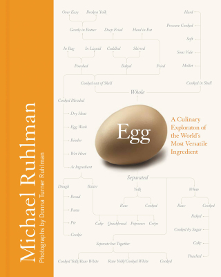 Cover image: Egg 9780316254076
