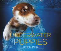 Cover image: Underwater Puppies 9780316254908