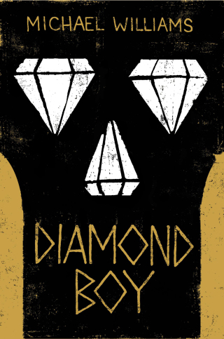 Cover image: Diamond Boy 9780316320696