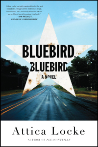 Cover image: Bluebird, Bluebird 9780316363297