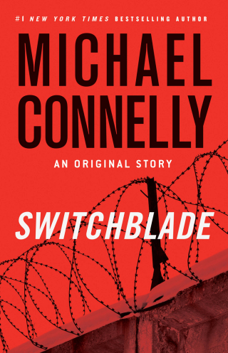 Cover image: Switchblade 9780316369862